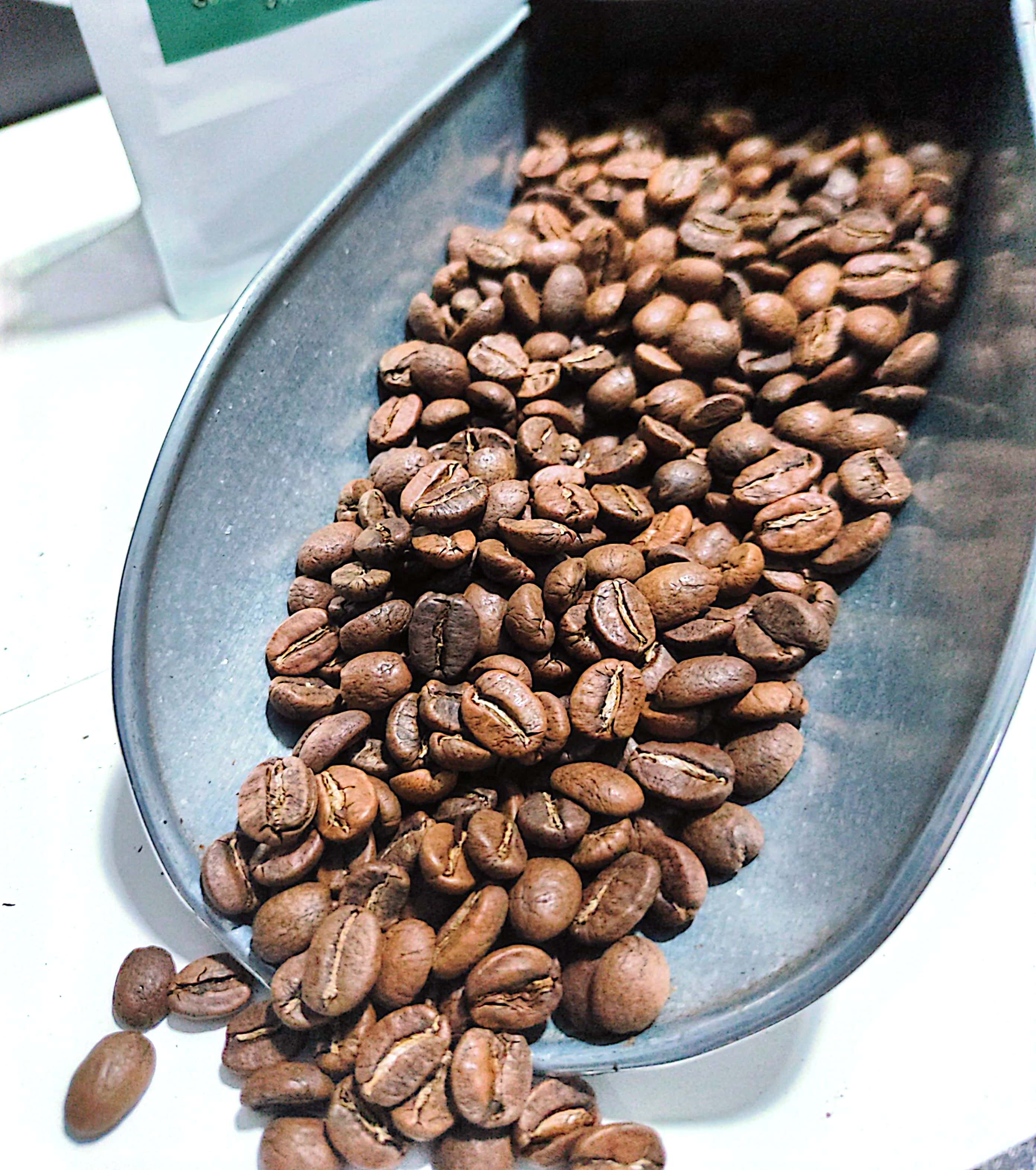 عربیکا کلمبیا