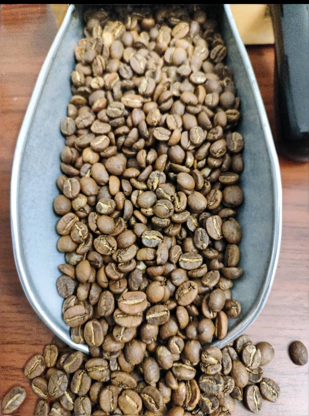 قهوه عربیکا کنیا